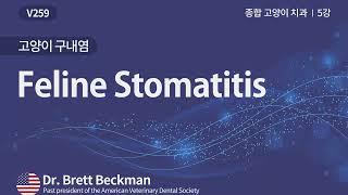 [베터플릭스] 종합 고양이 치과 5강 - 고양이 구내염 (Feline Stomatitis)_강의