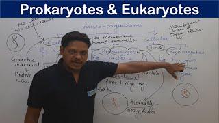 PART 5. Prokaryotes and Eukaryotes | B. Pharmacy | Nursing | Medical| Bhushan Science