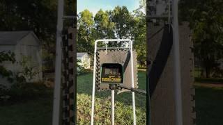Fastest selfbow on the planet?#osage#selfbow#worldrecord