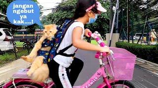 Ayo Moly Kita Jalan-jalan Naik Sepeda  Hanum Boncengin Sepeda Anak Kucing Lucu Keliling Komplek 