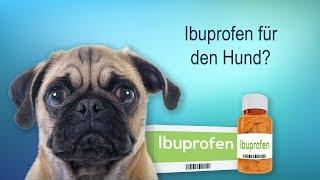 Ibuprofen - auch für den Hund?