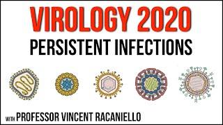 Virology Lectures 2020 #17: Persistent infections