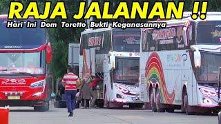 PATAS RASA NONSTOPDOM TORETTO BUKTIKAN KEGANASANNYA