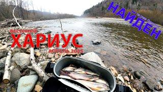 Весенний хариус на реке Арсеньевка 2025