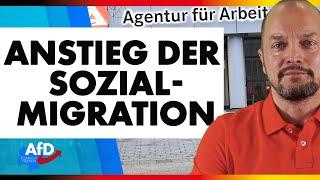 Anstieg der Sozialmigration | AfD-Fraktion Hamm