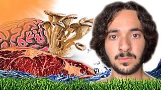 Why You Dream More When You're Healthy — Darko's Plasma & Quantum Biology | @JirkaHrom