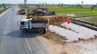 Filling Land Process by Bulldozer D31-P Komatsu & 5Ton Truck Pushing Soil into Rice Field