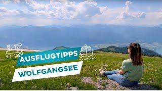 Ein Tag am Wolfgangsee - Ausflugtipps️