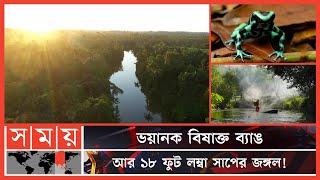 ৯টি দেশ জুড়ে বিস্তৃত সাড়ে ৫ কোটি বছরের পুরনো জঙ্গল! | Amazon Rainforest | Entertainment | Somoy TV