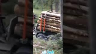 Logging wood Truck Driving skills #shorts