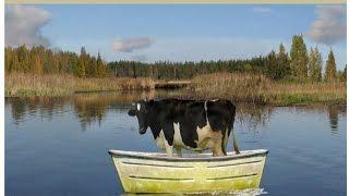 “ЖИВАЯ ВОДА МЕРТВАЯ”