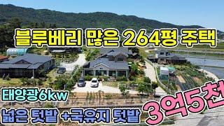 서산시 인지면 블루베리 많은 264평 서산전원주택 태양광 6kw설치 넓은텃밭 외 국유지까지 텃밭으로 쓰는 산아래 주택 바다와 서산시내 인접하게 서산전원주택 서산전원주택매매 당진