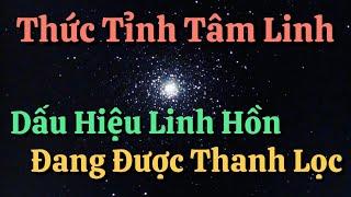 Thức Tỉnh Tâm Linh - Dấu Hiệu Linh Hồn Đang Được Thanh Lọc