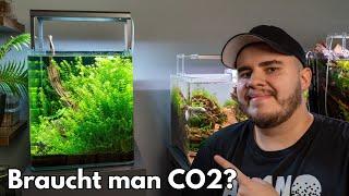 Braucht man CO2 für ein schönes Aquarium?