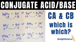 Conjugate Acids and Bases - How to identify them