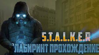 S.T.A.L.K.E.R. Лабиринт №7 Помагаем Сталкерам в Тёмная Долина