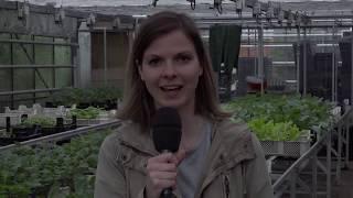 Interview Zelfoogsttuin Haren door masterstudenten Journalistiek