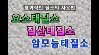 요소태, 질산태질소, 암모니아태질소의 차이점과 사용방법은?