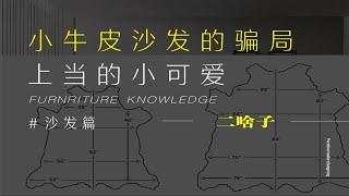 头层小黄牛皮真皮沙发是谎言骗局装修的坑