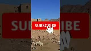 @HappyVacation-ij7et Mount Sinai, the place where Moses received the Ten Commandments,