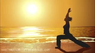 Yoga Exercises: 1 HOUR Relaxing Meditation Music for Yoga Classes