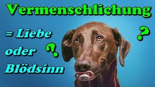 Vermenschlichung von Hunden - was ist das für uns ? Und darf man Menschen und Hunde vergleichen ? 