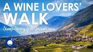 Bedtime Sleep Stories |  A Wine Lovers' Walk  | Relaxing Travel Sleep Story for Grown Ups