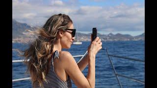 Yacht tour - dolphin and whale watching in Tenerife