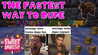 The FASTEST DUPE method for SweetAnarchy.net (Mule Dupe) - 1.18.2 Anarchy Server