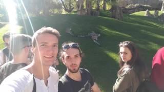 Primo giorno a Valencia&Visita al Bioparc -Brian Rocca vlog #2