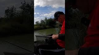 BIG TENCH STONHAM BARNS, #matchfishinguk #shorts