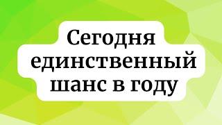 Сегодня единственный шанс в году.