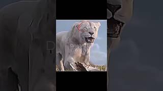 Underrated Detail #lionking#mufasa#lions#edit