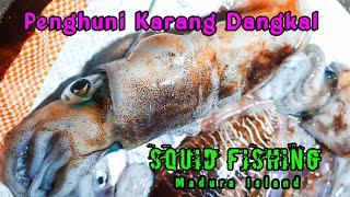 MANCING CUMI CUMI BESAR DI KARANG DANGKAL Pesta Strike babon Semua ||  squid fishing