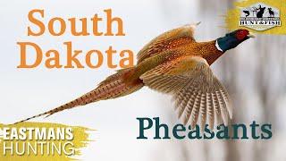 Crush Pheasants at South Dakota's Tumbleweed Lodge