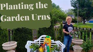 Planting the Garden Urns for summer 2023 | Michelle's Home and Garden