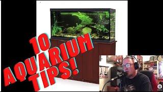 10 AQUARIUM TIPS FOR BEGINNERS!