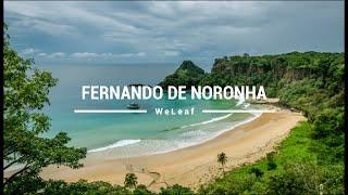 The most beautiful island on earth | Fernando de Noronha | Um destino incrível no Brasil