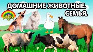 Мультики для самых маленьких. Домашние животные. Кто как называется? Детёныши. Семья.