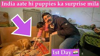 India aate hi puppies ka surprise mila | India aaya 15 months baad