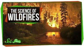 The Science of Wildfires