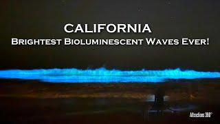 Brightest GLOWING Blue Waves Ever! Bioluminescent Waves 2024 | RELAXING Ocean Waves | White Noise