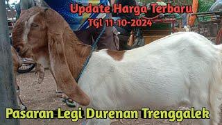 UPDATE HARGA TERBARU PASARAN LAGI DURENAN TRENGGALEK