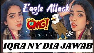 IQRA NY DIA JAWAB|EAGLE ATTACK|Iqra Haroon World VLOG #50 @Sistrology