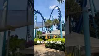 Would you ride this roller coaster  Manta at SeaWorld Orlando