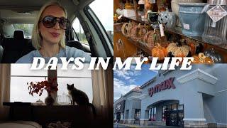 DAYS IN MY LIFE VLOG | life update , fall decorating, prepping for fall semester of np school