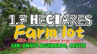 V515-24 • 1.7 Hectares Titled Farm Lot w/ Fruit Trees in General Emilio Aguinaldo, Cavite