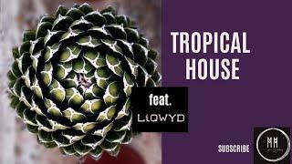 Tropical House featuring Swedish producer LiQWYD