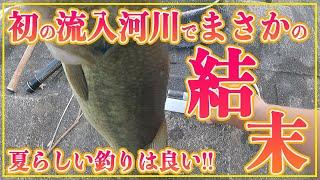 霞水系の流入河川巡って、初場所入ったら最後に奇跡が起きました！【花室川・一の瀬川・etc】