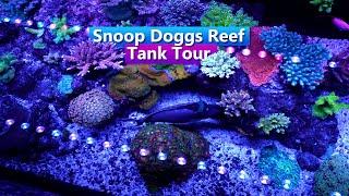 Snoop Doggs Reef - Saltwater Aquarium Reef Tank Tour